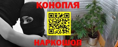 первитин Новодвинск
