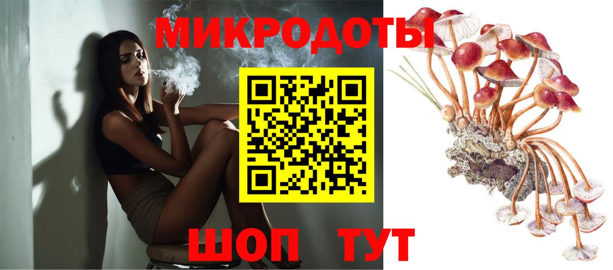 Галлюциногенные грибы мицелий Томск