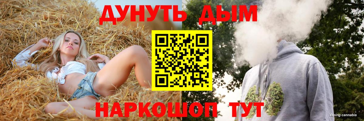 Томск  МАРИХУАНА семена  Марихуана сатива  Бошки Шишки семена  Бошки марихуана SATIVA & INDICA  Вход с VPN 